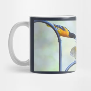 Oriole feeding fledgling #2 Mug